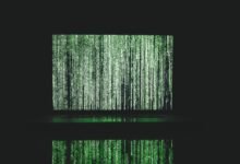 quantummatrix seo services offered