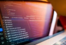 digital framework for professionals