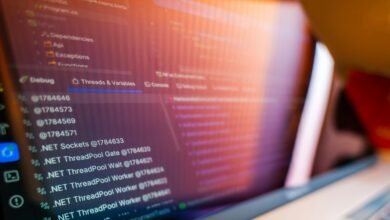 digital framework for professionals