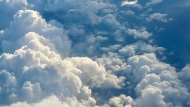 efficient smart online framework