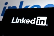 innovative business web solution