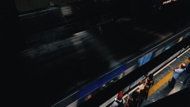 online expansion platform 503245933